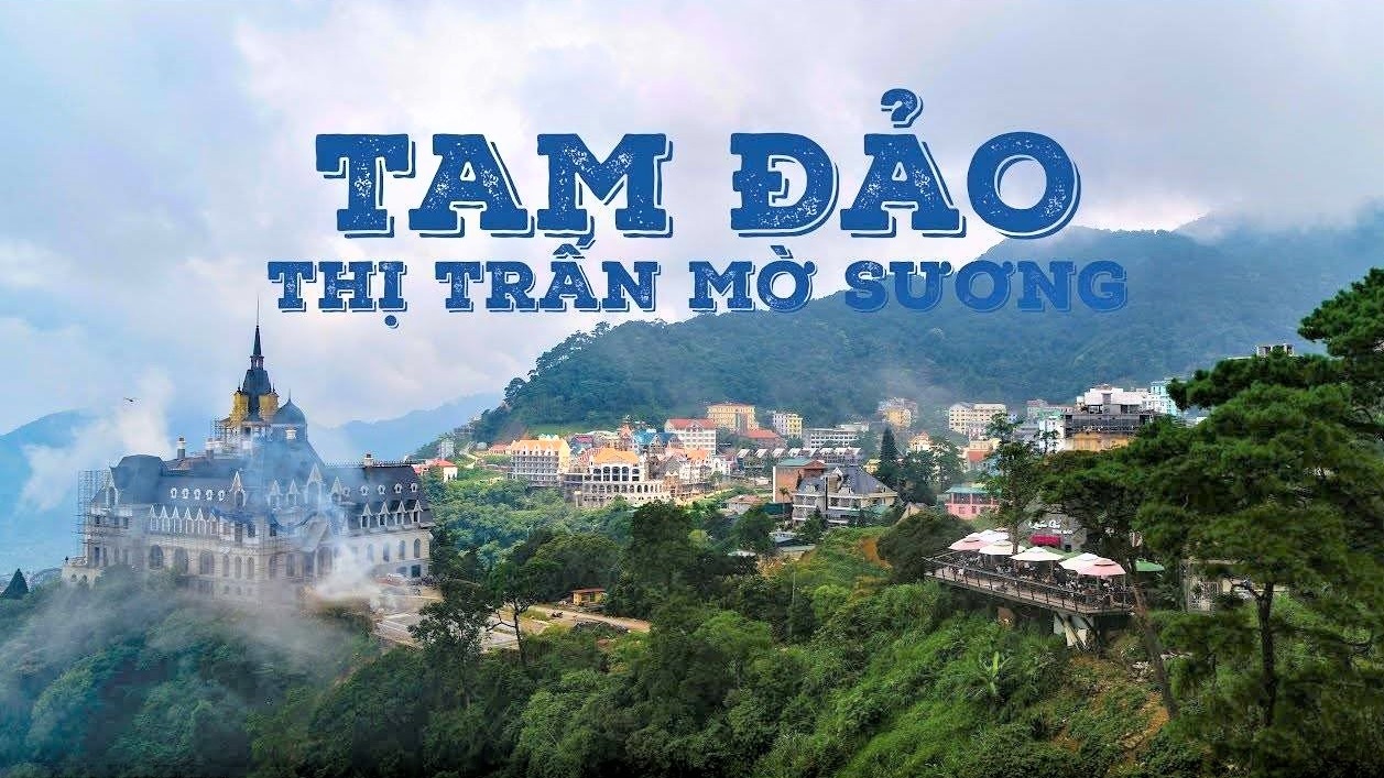 Top 5 homestay Tam Đảo vừa đẹp vừa giá rẻ - Cẩm nang du lịch Tam Đảo